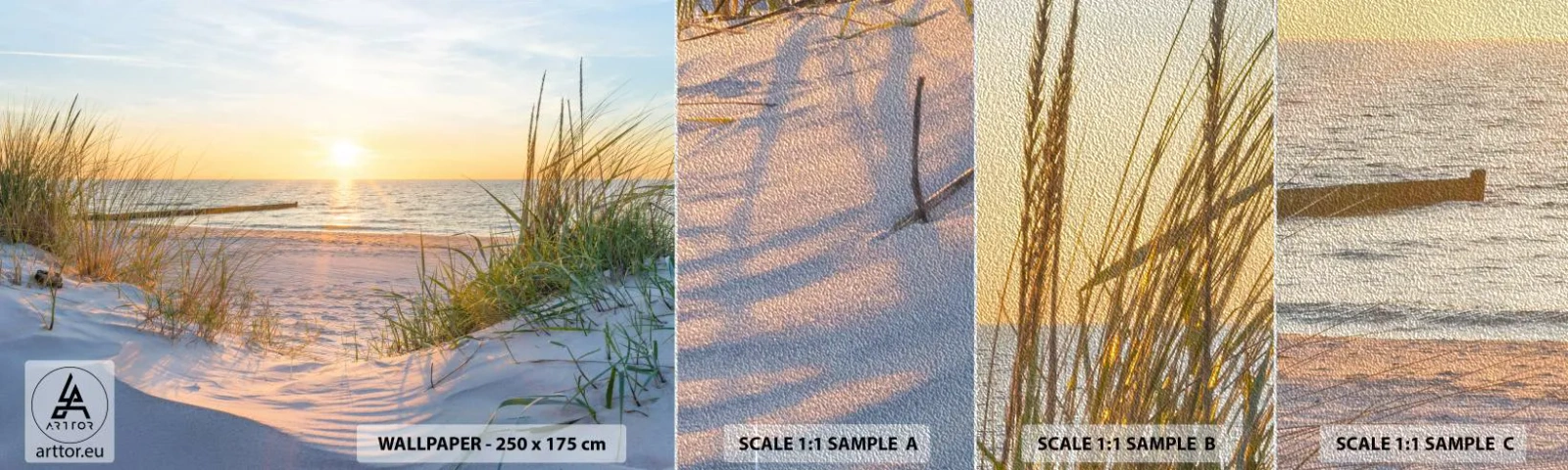 Fototapeten Muster Premium Sand - Das Rauschen des Meeres, der Gesang der Vögel, ein wilder Strand im Gras ... - Landschaft, Meer, Dünen - 100x30 cm