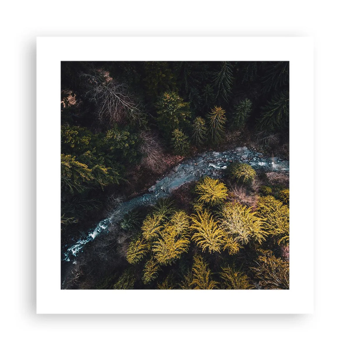 Poster - Schnell und immer schneller - 40x40 cm