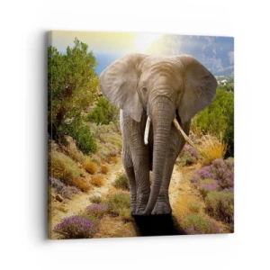 Bild auf Leinwand - Leinwandbild - So sah Eden aus - 30x30 cm