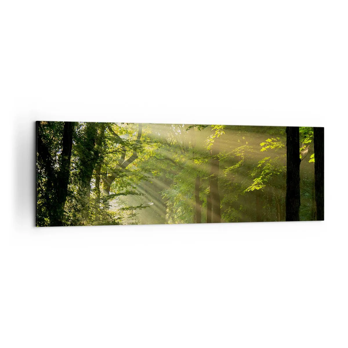 Bild auf Leinwand - Leinwandbild - Waldweg mit Sonnenstrahlen, die durch die Bäume scheinen - 160x50cm - Waldmoment - Moderne Wanddekoration für Wohnzimmer und Schlafzimmer ARTTOR