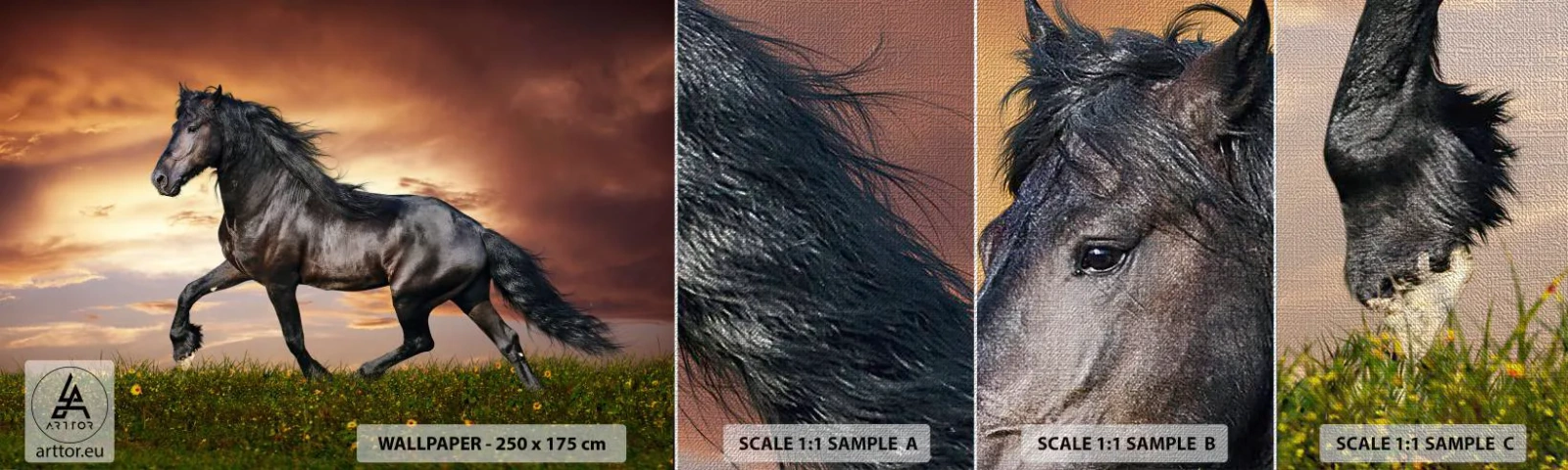 Fototapeten Muster Premium Canvas - Schwarzer Prinz - Tiere, arabisches Pferd, Landschaft - 100x30 cm
