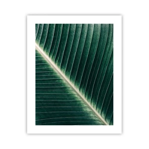 Poster - Rhythmus der Natur - 40x50 cm