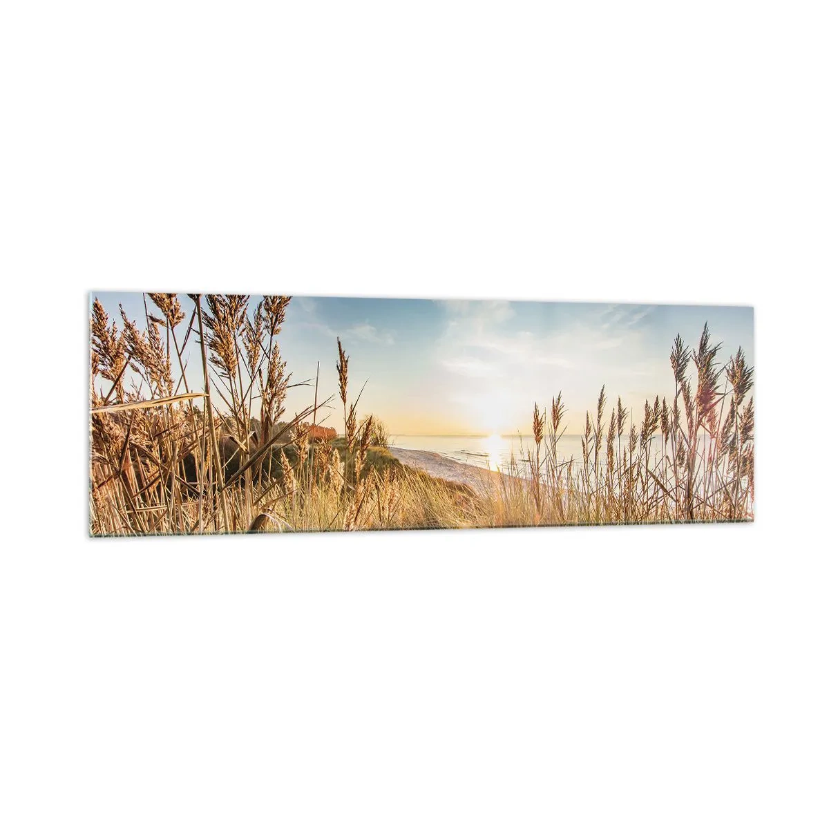 Glasbild - Bild auf glas - Ein malerischer Strand mit Gras und untergehender Sonne - 160x50cm - Nordstrand - Moderne Wanddekoration für Wohnzimmer und Schlafzimmer ARTTOR