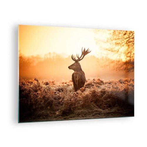 Glasbild - Bild auf glas - Hirsch vor dem Hintergrund eines Sonnenaufgangs in einer natürlichen Landschaft - 70x50cm - Herr im eigenen Land - Moderne Wanddekoration für Wohnzimmer und Schlafzimmer ARTTOR