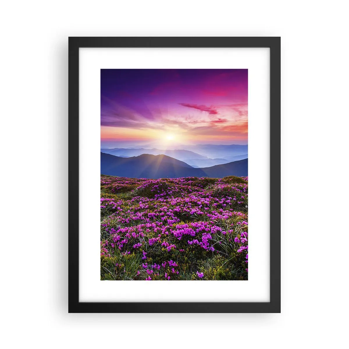 Poster in einem schwarzem Rahmen - Kräuter dufteten nach frischen Trauben von den Feldern - 30x40 cm