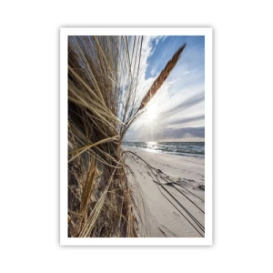 Poster - Ein Treffen der Elemente der Natur - 70x100 cm