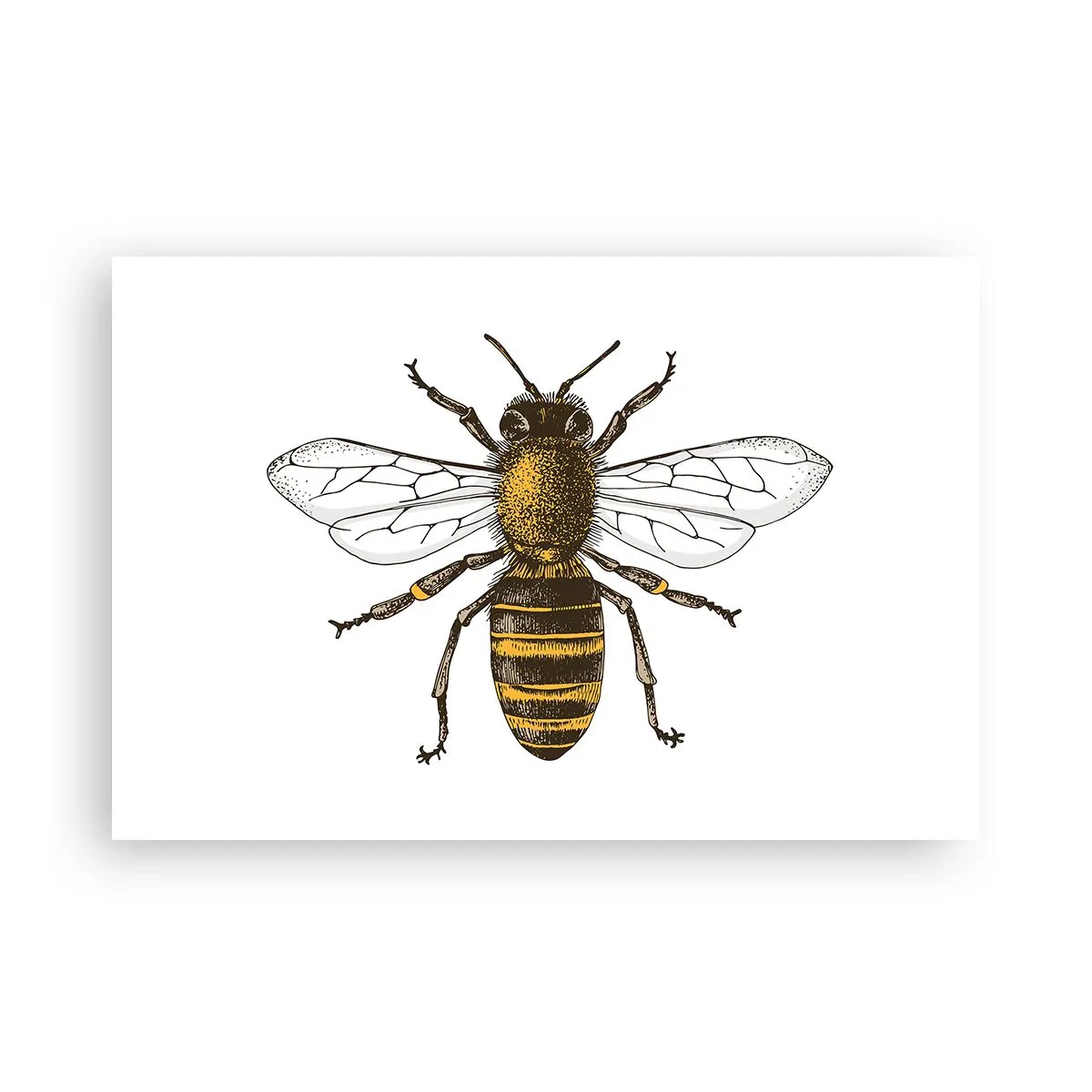 Poster - Schön und gut - 91x61 cm