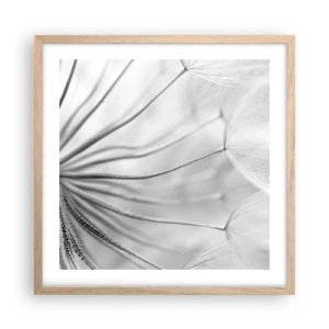 Poster in einem Rahmen aus heller Eiche - Löwenzahn, Drachen - 50x50 cm