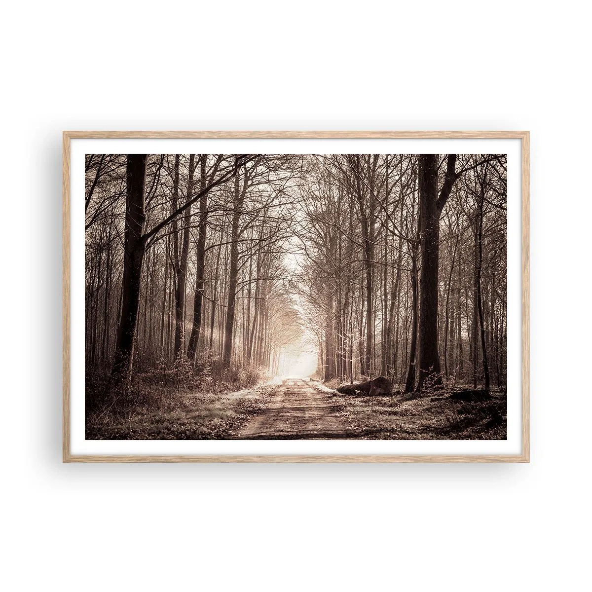 Poster in einem Rahmen aus heller Eiche - Waldkathedrale - 100x70 cm