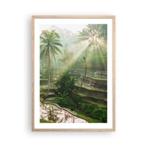 Poster in einem Rahmen aus heller Eiche - In der Sonne aufwachsen - 50x70 cm