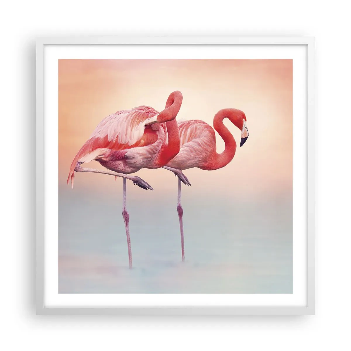 Poster in einem weißen Rahmen - Die Farbe der untergehenden Sonne - 60x60 cm