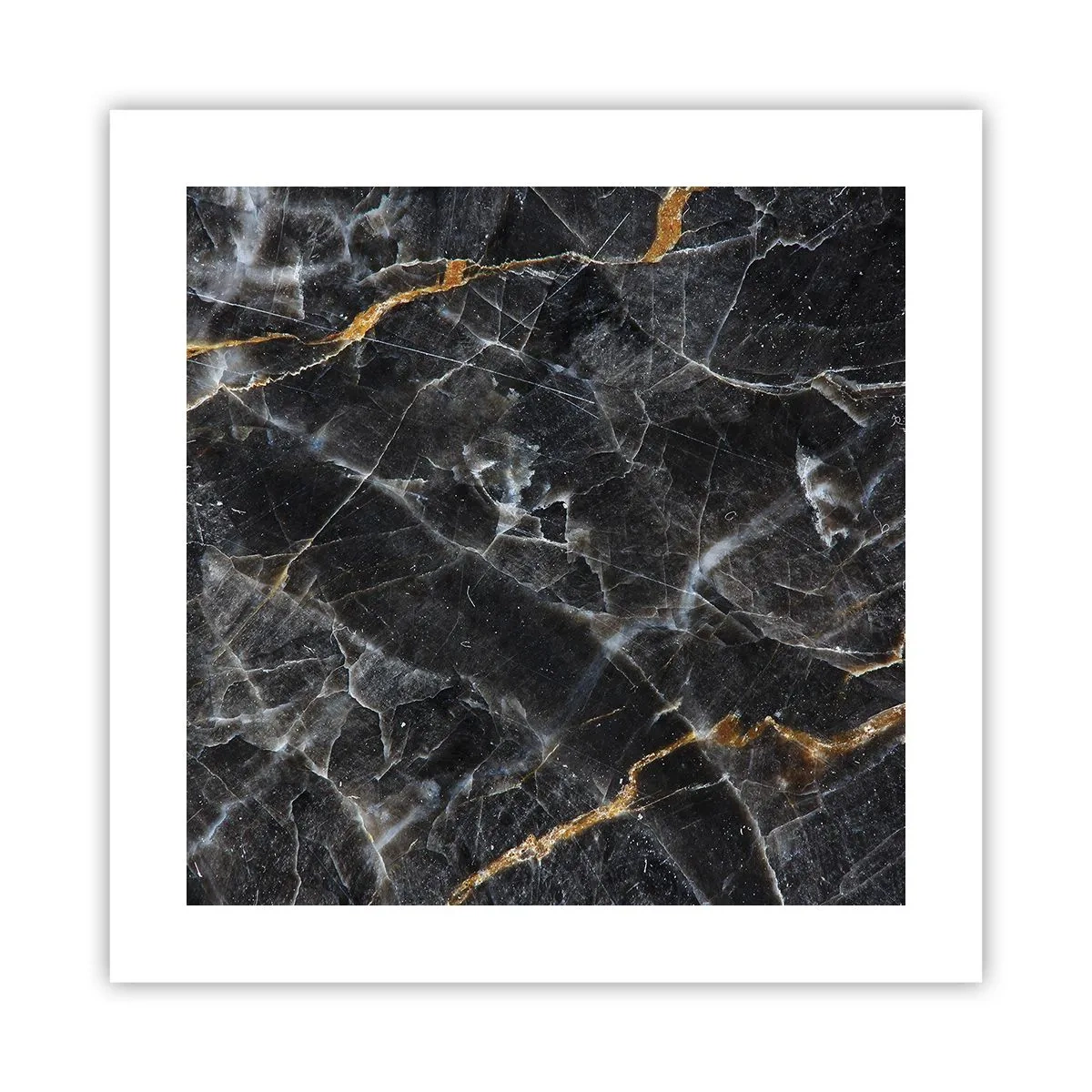 Poster - Das Innenleben des Steins - 40x40 cm