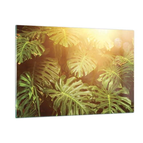 Glasbild - Bild auf glas - Grüne Monstera-Blätter im goldenen Licht der tropischen Sonne - 120x80cm - Ins Grüne tretren... - Moderne Wanddekoration für Wohnzimmer und Schlafzimmer ARTTOR