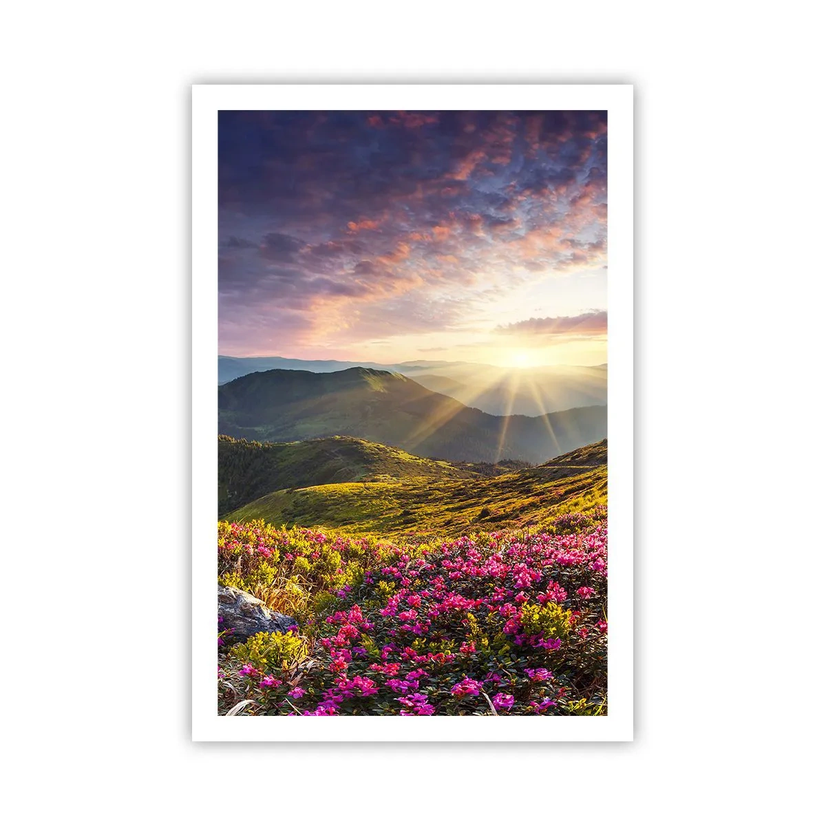 Poster - Frische am Bergmorgen - 61x91 cm