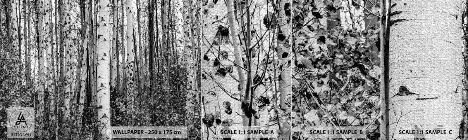 Fototapeten Muster Premium Canvas - Birkenkolonnade - Wald, Birke, Natur - 100x30 cm