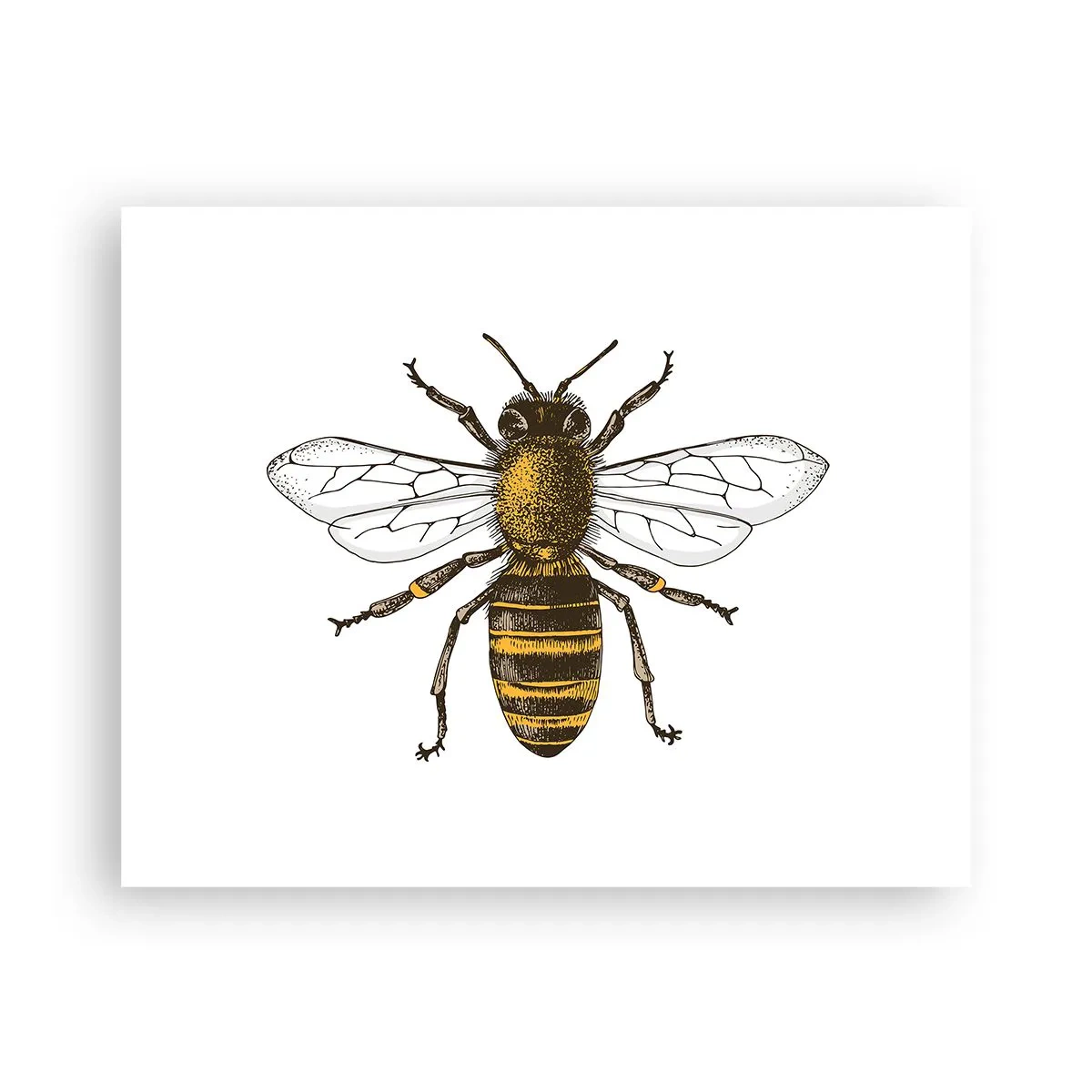 Poster - Schön und gut - 50x40 cm