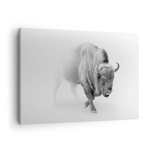 Bild auf Leinwand - Leinwandbild - Weißer Bison in minimalistischem Ambiente - 70x50cm - König der Prärie - Moderne Wanddekoration für Wohnzimmer und Schlafzimmer ARTTOR