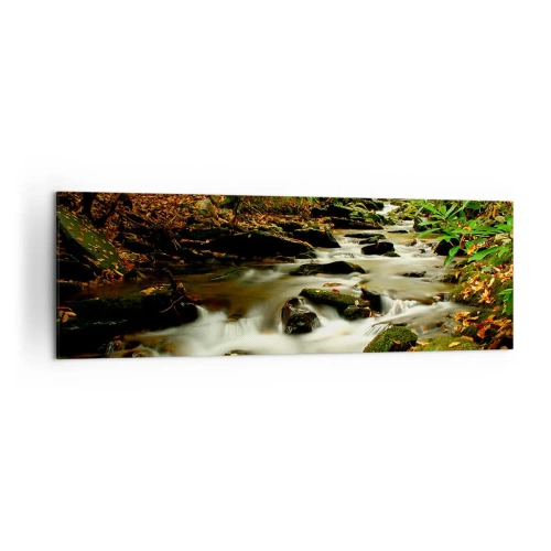 Bild auf Leinwand - Leinwandbild - Ein Waldbach, der zwischen Steinen fließt, umgeben von Grün - 160x50cm - Wie flüssiges Silber - Moderne Wanddekoration für Wohnzimmer und Schlafzimmer ARTTOR