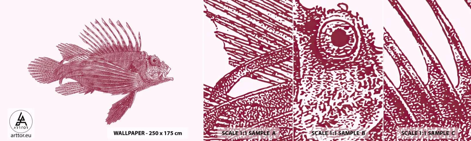 Fototapeten Muster Selbstklebend Deluxe Sticker - Bewohner exotischer Gewässer - Fisch, Rotfeuerfisch, Tropisch - 100x30 cm