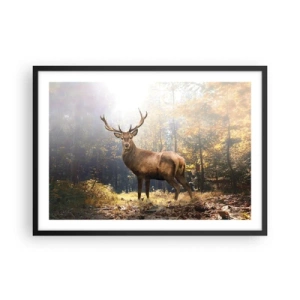 Poster in einem schwarzem Rahmen - Hirsch im herbstlichen Wald mit Sonnenstrahlen - 70x50cm - In voller Majestät - Moderne Wanddekoration für Wohnzimmer und Schlafzimmer ARTTOR