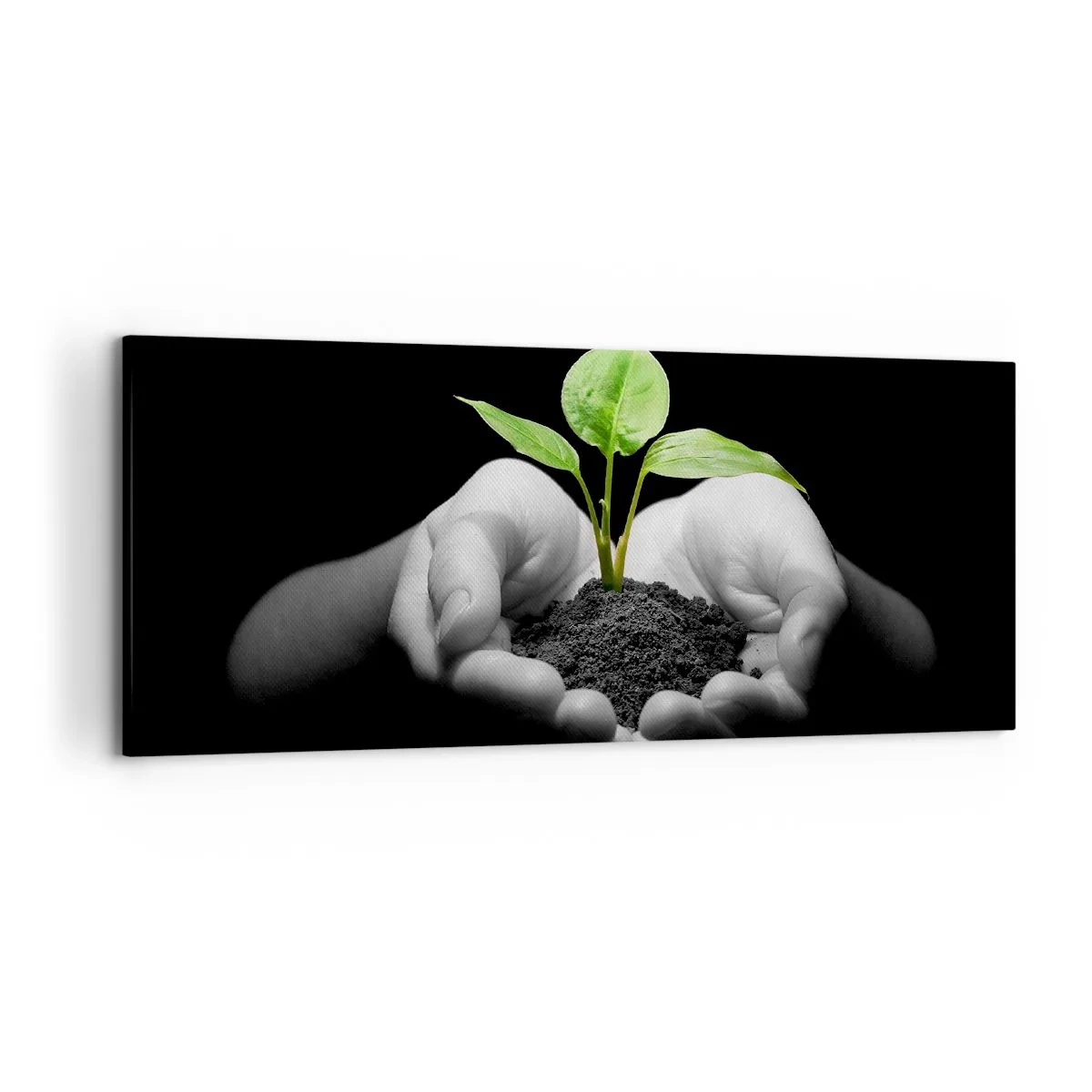Bild auf Leinwand - Leinwandbild - Hände halten eine grüne Pflanze auf schwarzem Hintergrund - 120x50cm - Ich liebe die Natur, ich beschütze sie - Moderne Wanddekoration für Wohnzimmer und Schlafzimmer ARTTOR