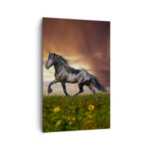 Bild auf Leinwand - Leinwandbild - Ein schwarzes Pferd galoppiert gegen die untergehende Sonne - 80x120cm - Schwarzer Prinz - Moderne Wanddekoration für Wohnzimmer und Schlafzimmer ARTTOR