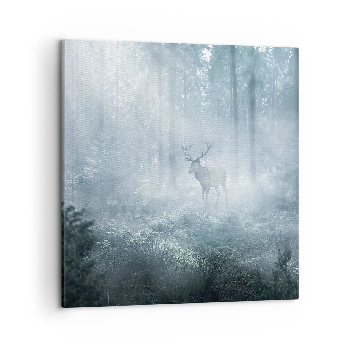 Bild auf Leinwand - Leinwandbild - Morgenvisite auf dem Grundstück - 50x50 cm