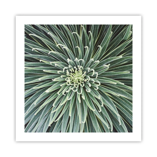 Poster - Ein Star ist geboren - 50x50 cm