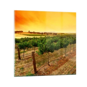 Glasbild - Bild auf glas - Holen Sie sich einen Drink von der Sonne - 50x50 cm