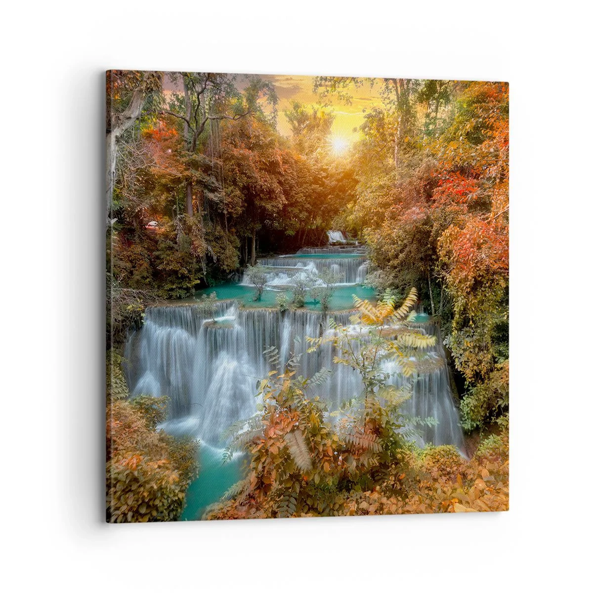 Bild auf Leinwand - Leinwandbild - Versteckter Schatz des Waldes - 70x70 cm