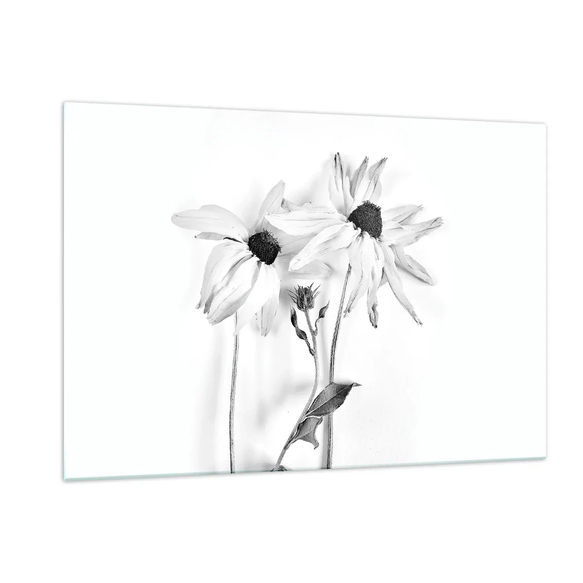 Glasbild - Bild auf glas - Schwarz-weiße Blumen im minimalistischen Stil - 120x80cm - Niemand will allein sein - Moderne Wanddekoration für Wohnzimmer und Schlafzimmer ARTTOR