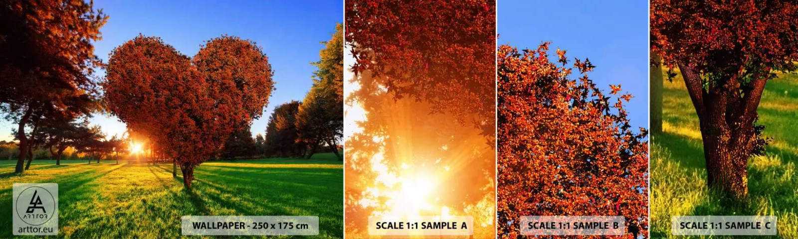 Fototapeten Muster Selbstklebend Deluxe Sticker - Und wie man den Herbst nicht liebt - Landschaft, Baum, Sonnenstrahlen - 100x30 cm