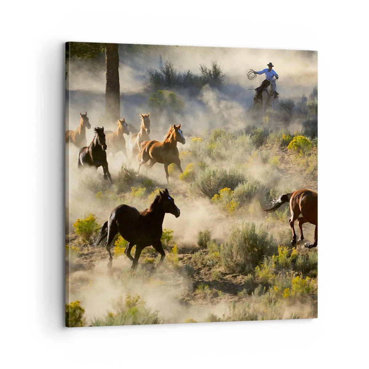 Bild auf Leinwand - Leinwandbild - Rivalität – Freiheit oder männliche Stärke? - 60x60 cm