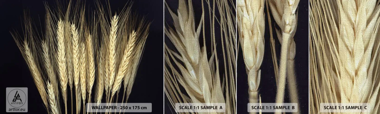 Fototapeten Muster Premium Canvas - Rustikale Magie - Getreide, Pflanzen, Natur - 100x30 cm