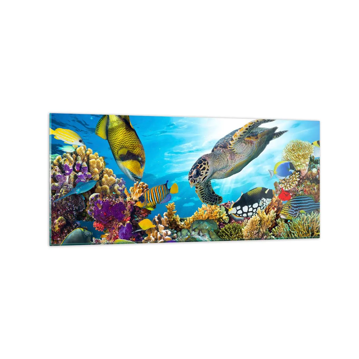 Glasbild - Bild auf glas - Unterwasserwelt mit bunten Fischen und einer Schildkröte in den Korallen - 120x50cm - Korallenpromenade - Moderne Wanddekoration für Wohnzimmer und Schlafzimmer ARTTOR