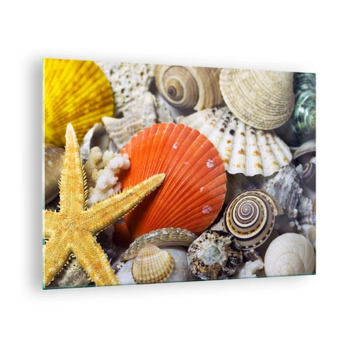 Glasbild - Bild auf glas - Bunte Muscheln und Seesterne in einer Meereskomposition - 70x50cm - Schätze des Ozeans - Moderne Wanddekoration für Wohnzimmer und Schlafzimmer ARTTOR
