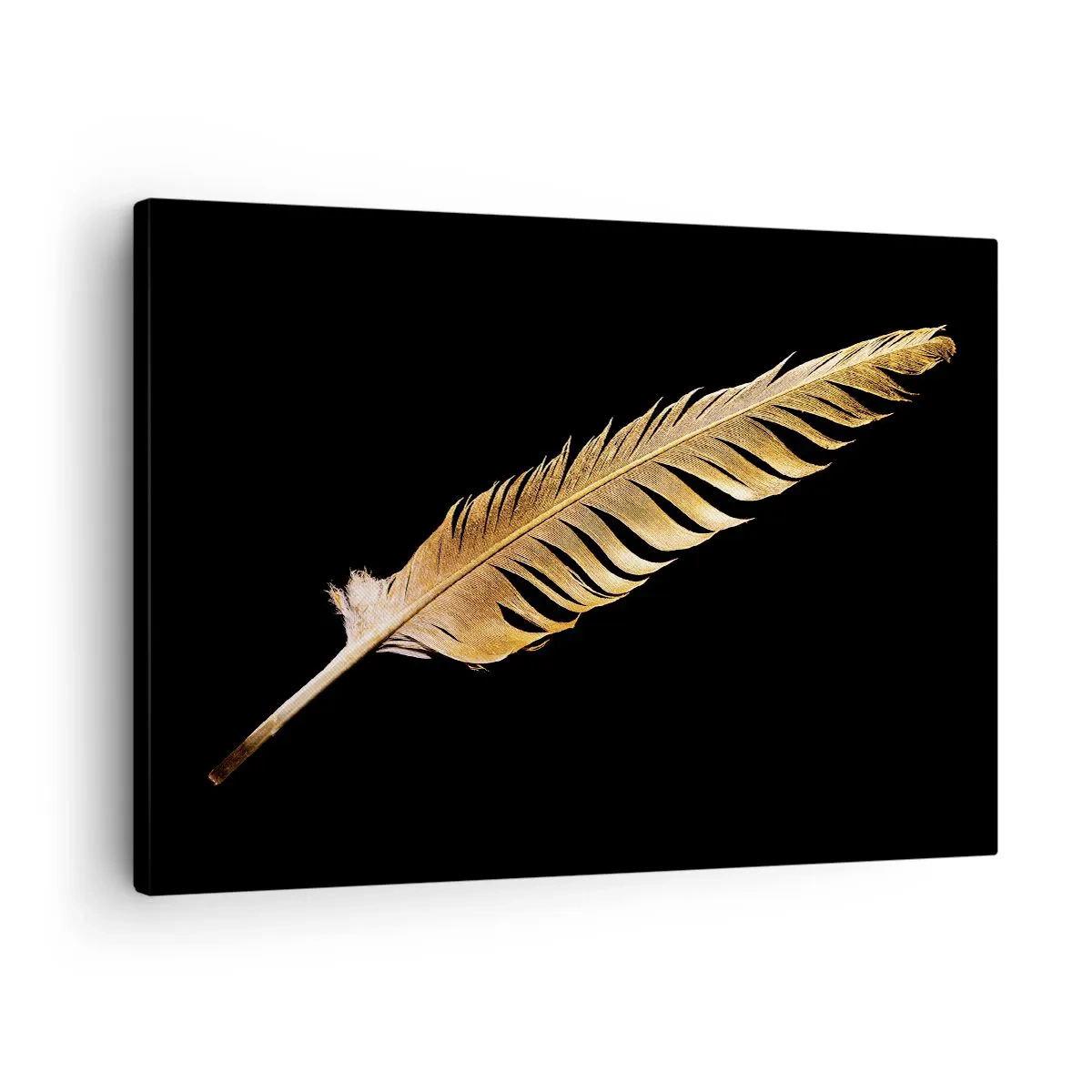 Bild auf Leinwand - Leinwandbild - Goldene Feder auf schwarzem Hintergrund - 70x50cm - Er hat ein ungewöhnliches Schreibtalent ... - Moderne Wanddekoration für Wohnzimmer und Schlafzimmer ARTTOR