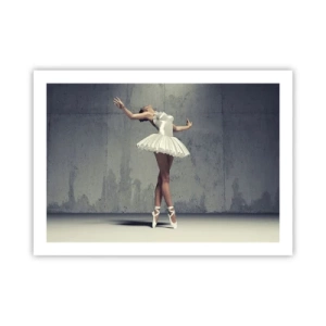 Poster - Leicht wie ein Vogel - 70x50 cm