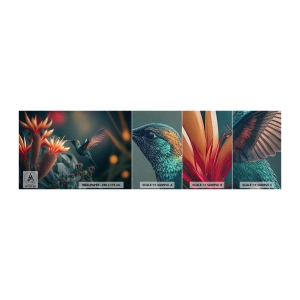 Fototapeten Muster Premium Canvas - Wirklich buntes Leben - Vogel, Exotisch, Blume - 100x30 cm