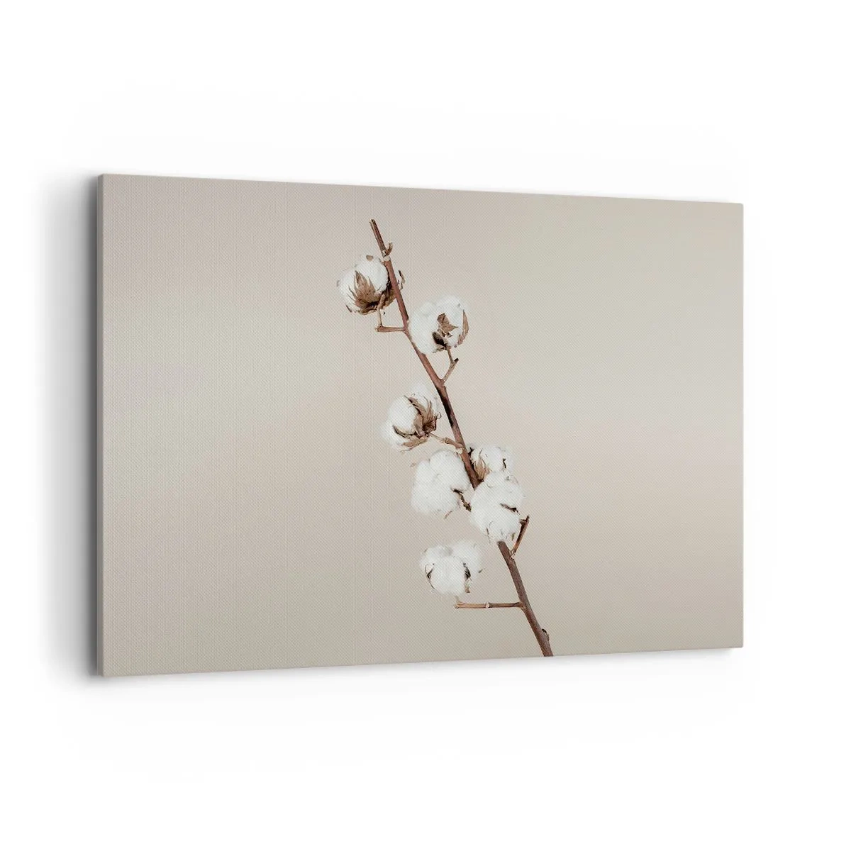 Bild auf Leinwand - Leinwandbild - Ein Zweig Baumwolle auf beigem Hintergrund - 120x80cm - An der Quelle der Weichheit - Moderne Wanddekoration für Wohnzimmer und Schlafzimmer ARTTOR