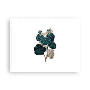 Poster - Aus dem alten Herbarium - 40x30 cm