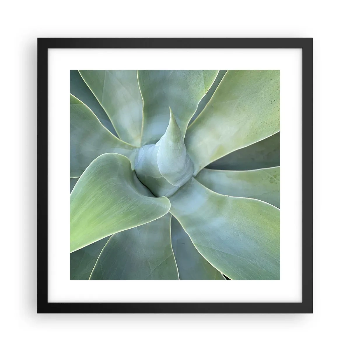 Poster in einem schwarzem Rahmen - Geburt des Grüns - 40x40 cm