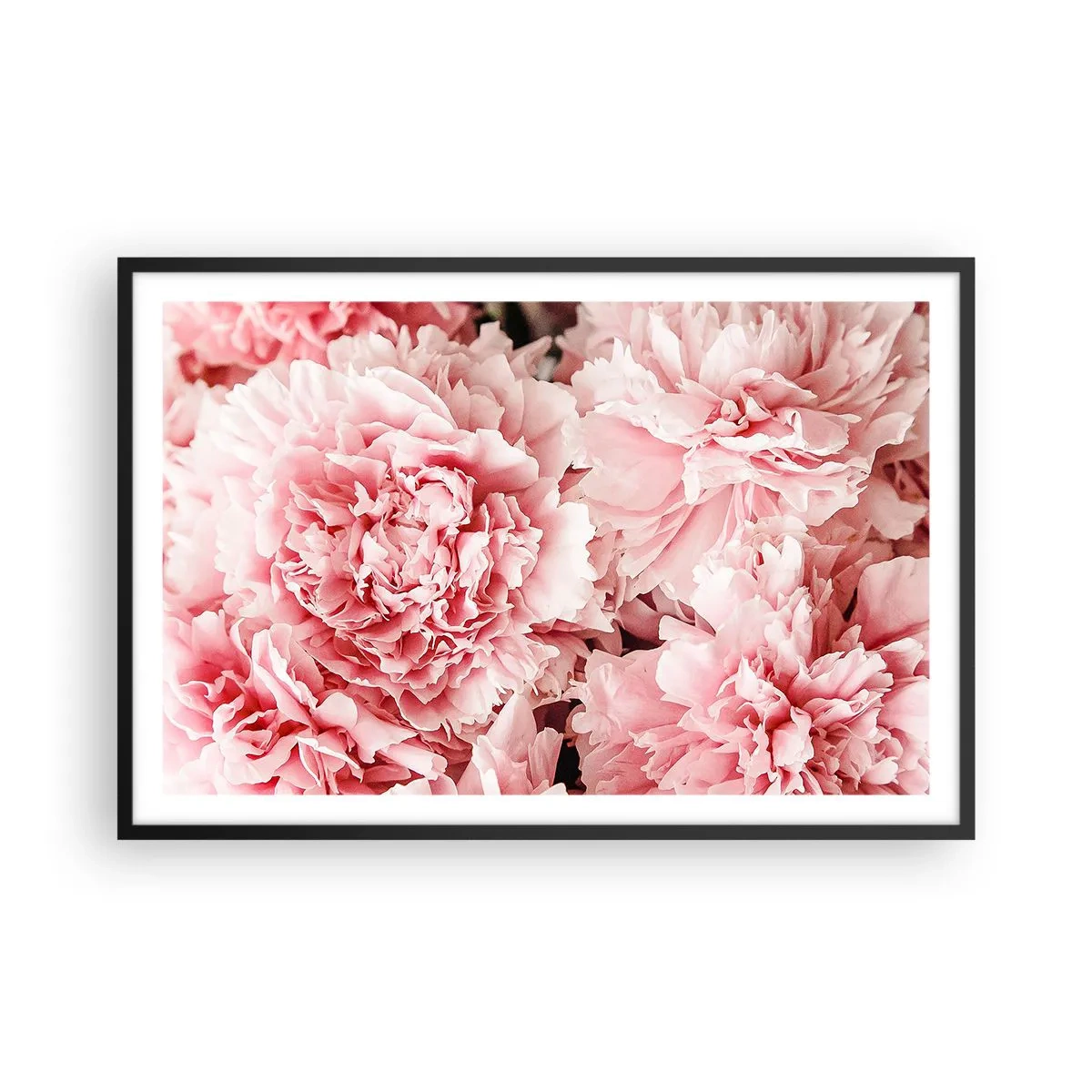 Poster in einem schwarzem Rahmen - Rosa Traum - 91x61 cm