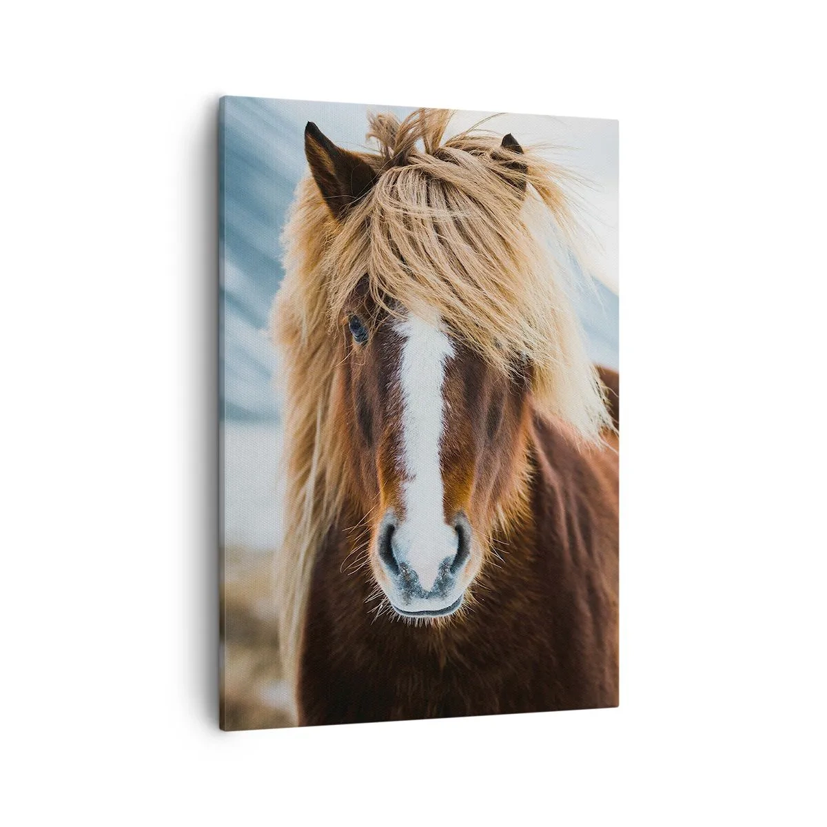 Bild auf Leinwand - Leinwandbild - Islandpferd vor einer Berglandschaft - 50x70cm - Spürst du die Freiheit? - Moderne Wanddekoration für Wohnzimmer und Schlafzimmer ARTTOR