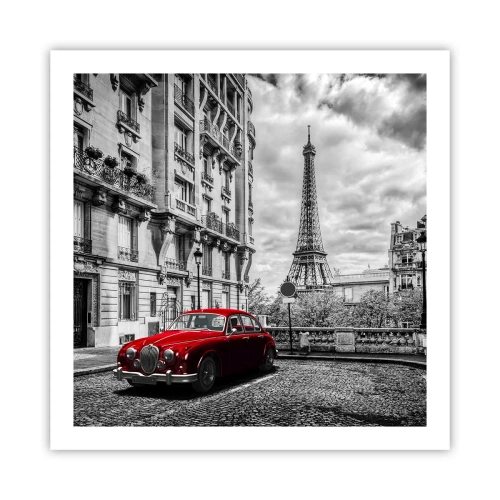 Poster - Raubtier in der Stadt - 60x60 cm