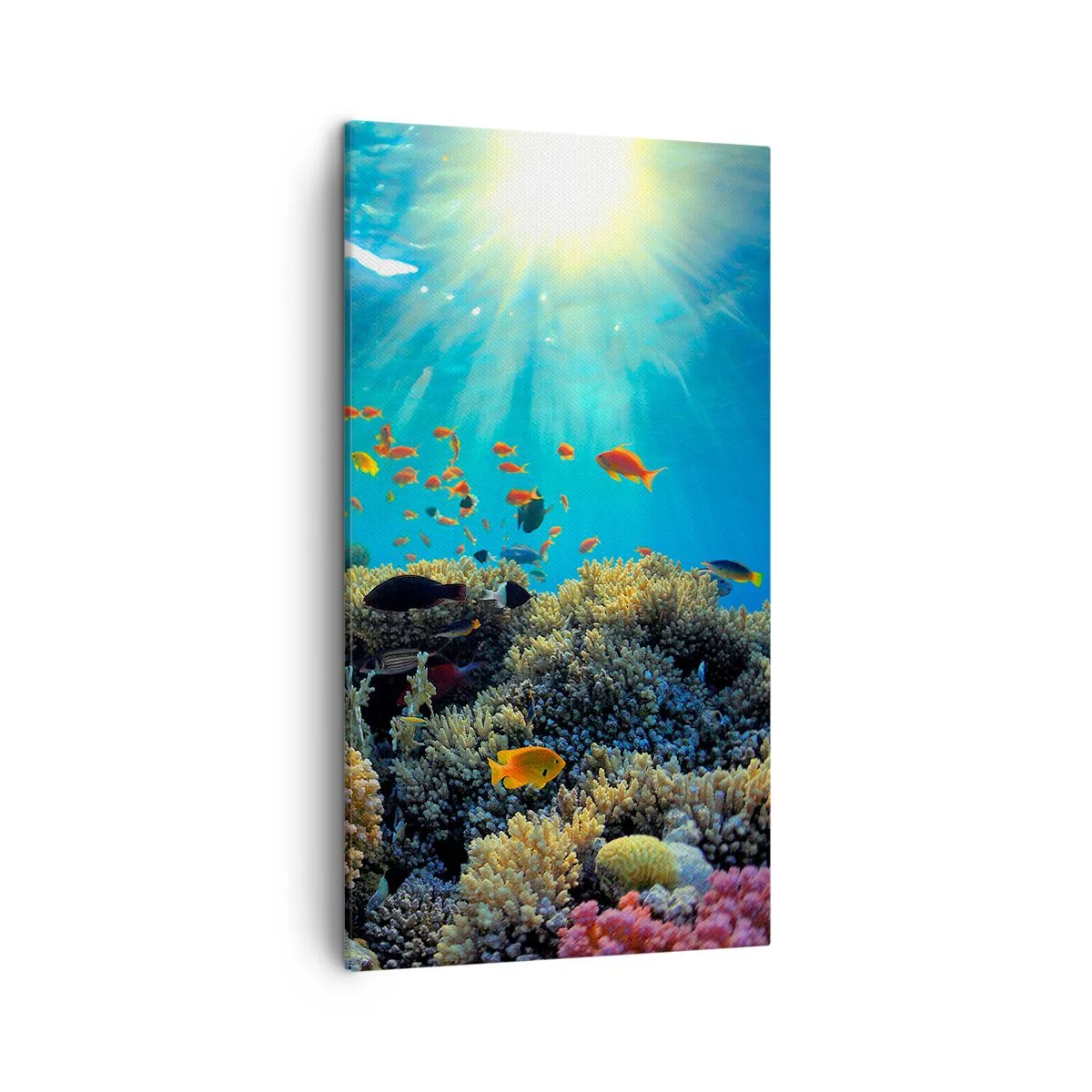Bild auf Leinwand - Leinwandbild - Unterwasserschätze - 45x80 cm