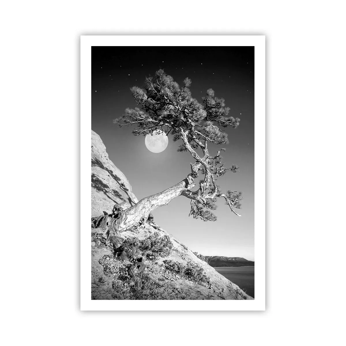 Poster - Siegreiche Kämpferin - 61x91 cm