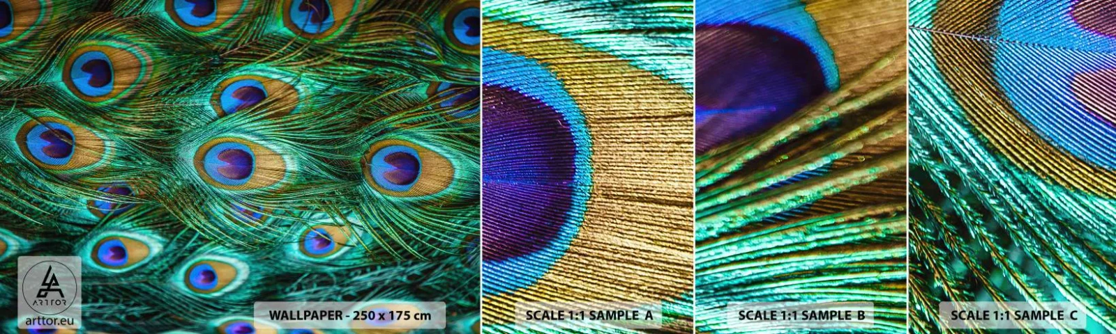 Fototapetenmuster Standard Eco - Ein Blick mit Pfauenaugen - Abstraktion, Pfauenfedern, Vogelfeder - 100x30 cm