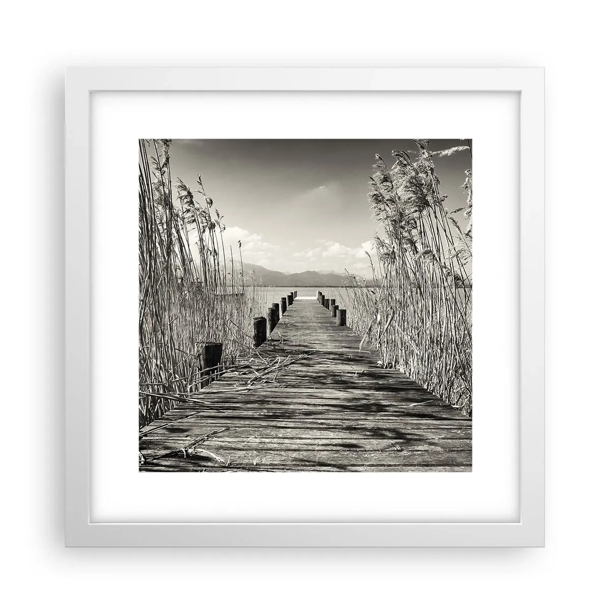 Poster in einem weißen Rahmen - In der Stille des Grases - 30x30 cm