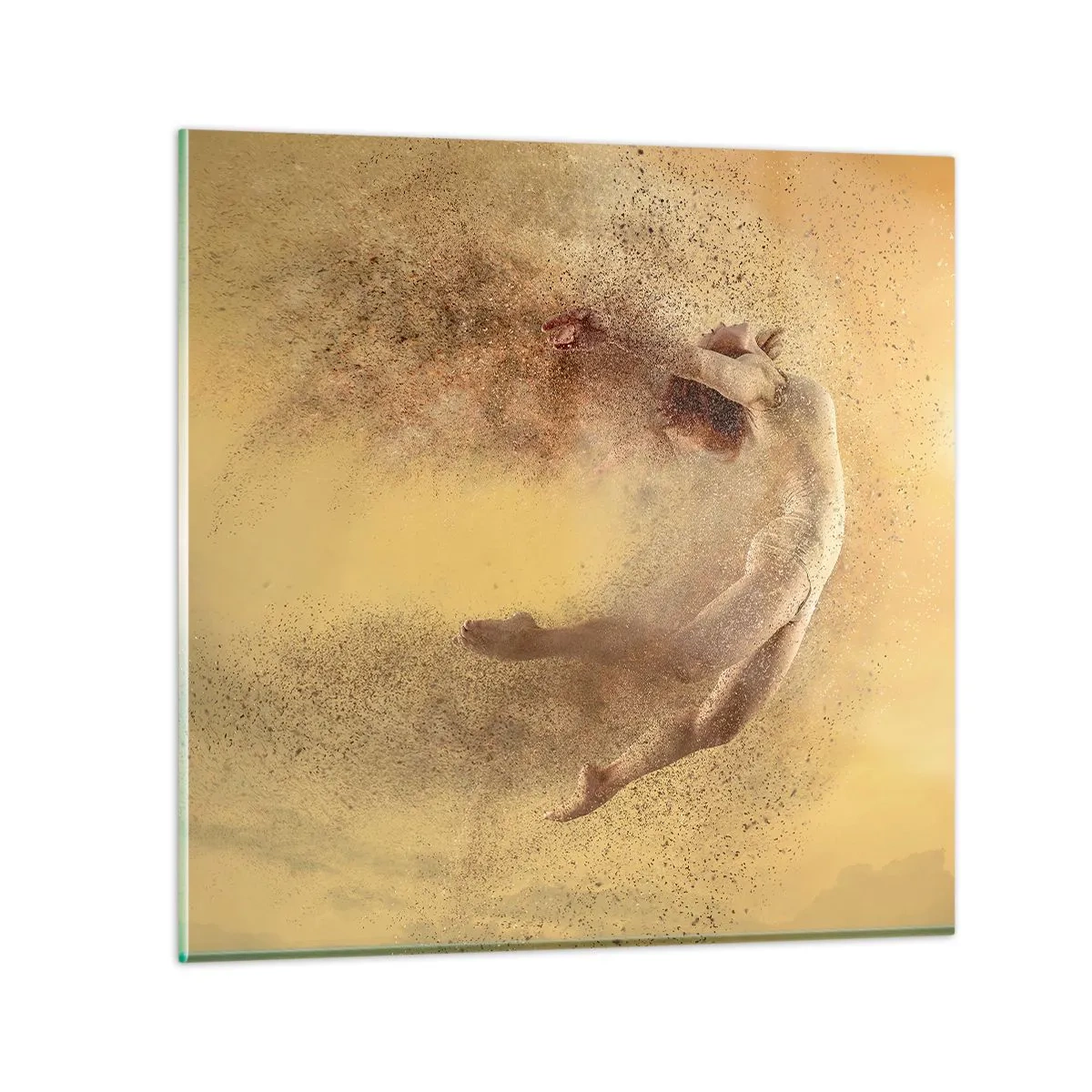 Glasbild - Bild auf glas - In tanzender Ekstase - 30x30 cm